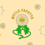 Papatya